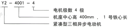 YR系列(H355-1000)高压YKS4006-4/500KW三相异步电机西安西玛电机型号说明